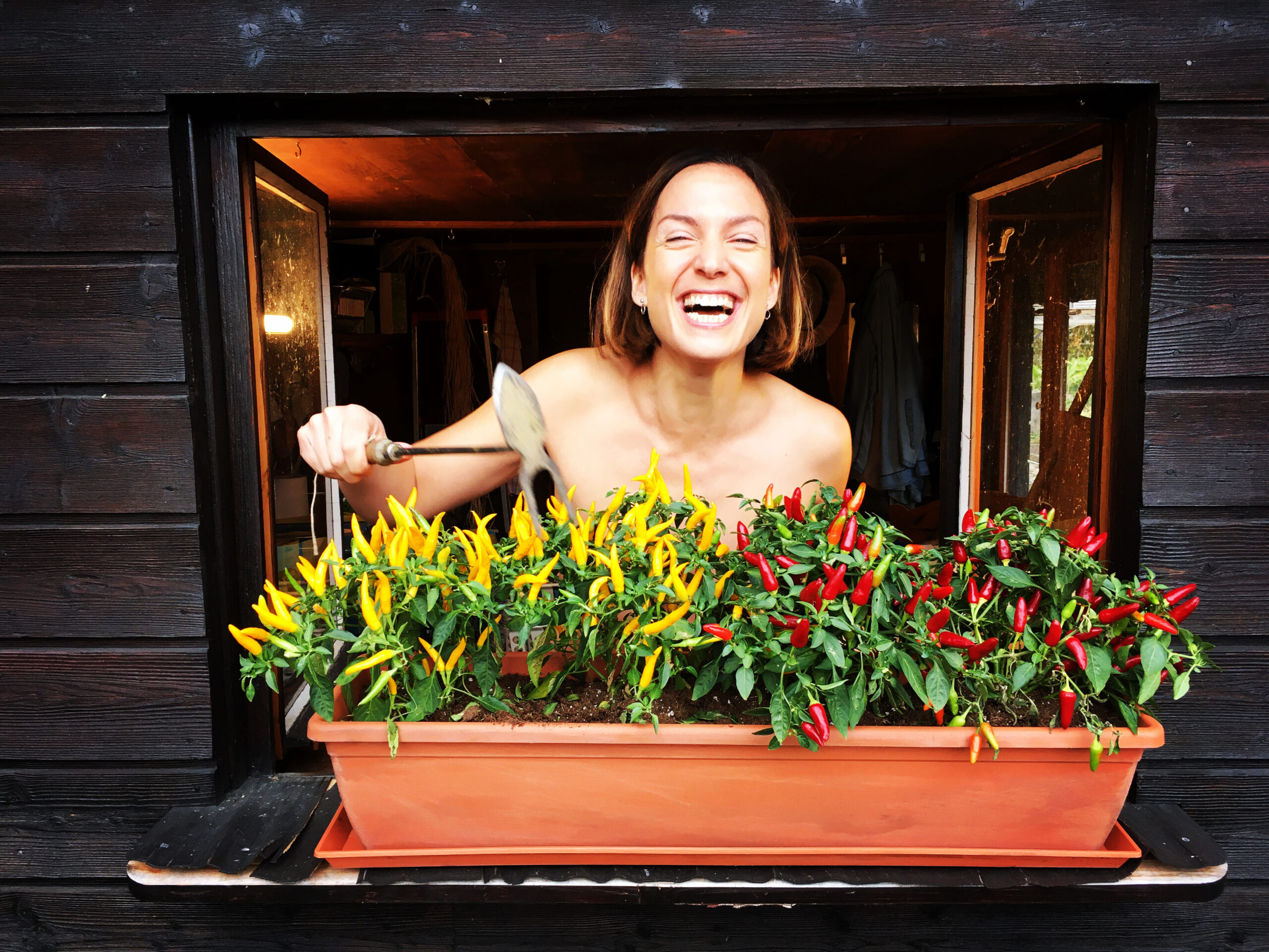 22A74823-13B7-45FC-86A4-E86A85AB7CE6